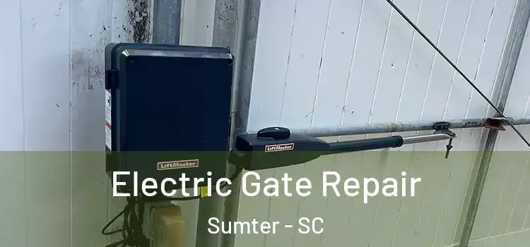 Electric Gate Repair Sumter - SC
