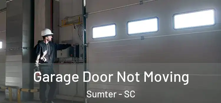  Garage Door Not Moving Sumter - SC